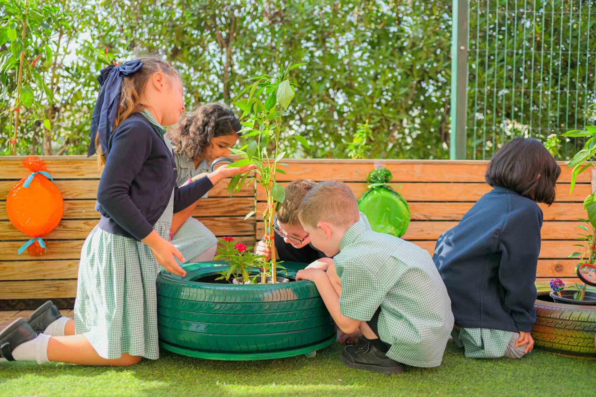 Sustainability 2