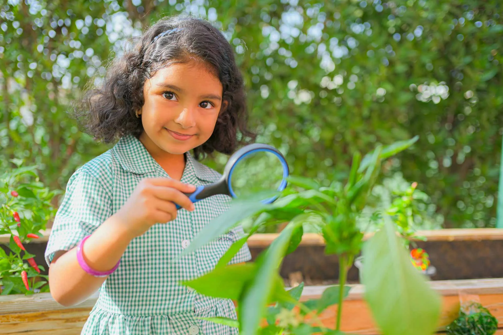 Eco school