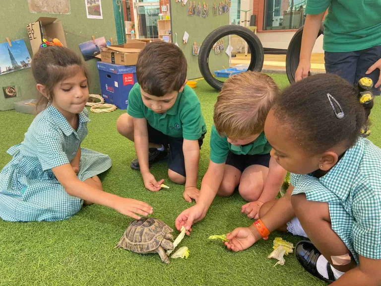 Aspen Animal Mini Vets